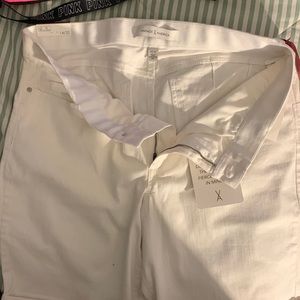 Brand New no rips tears or stains